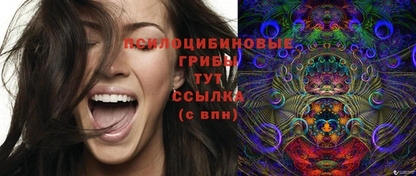 ешки Няндома
