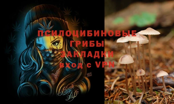 ГАЛЛЮЦИНОГЕННЫЕ ГРИБЫ Нягань