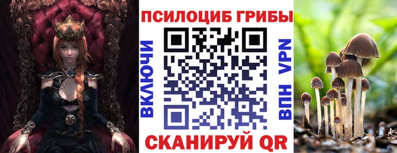 Галлюциногенные грибы Psilocybe  хочу наркоту  Коломна 