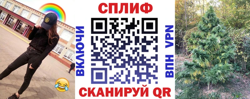 Каннабис план Коломна